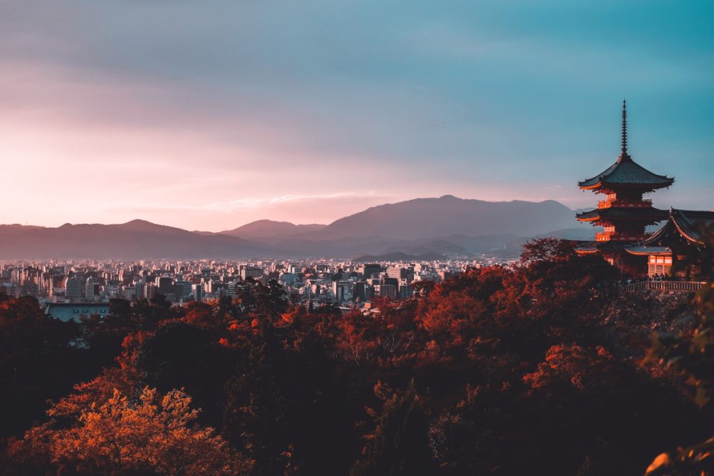 GoWithGuide Review: What Real Travelers Say About Custom Tours in Japan 4 Top Features Travelers Appreciate