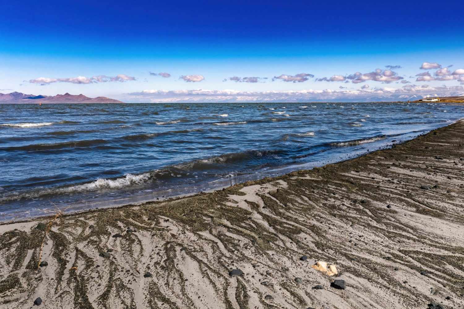 Great Salt Lake Tour